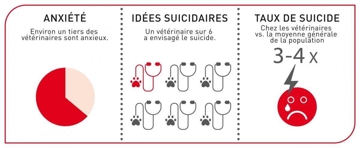 La fatigue compassionnelle peut contribuer aux immenses pressions subies par les vétérinaires : c’est un des facteurs responsables des statistiques parfois dramatiques qui s'appliquent à notre profession.