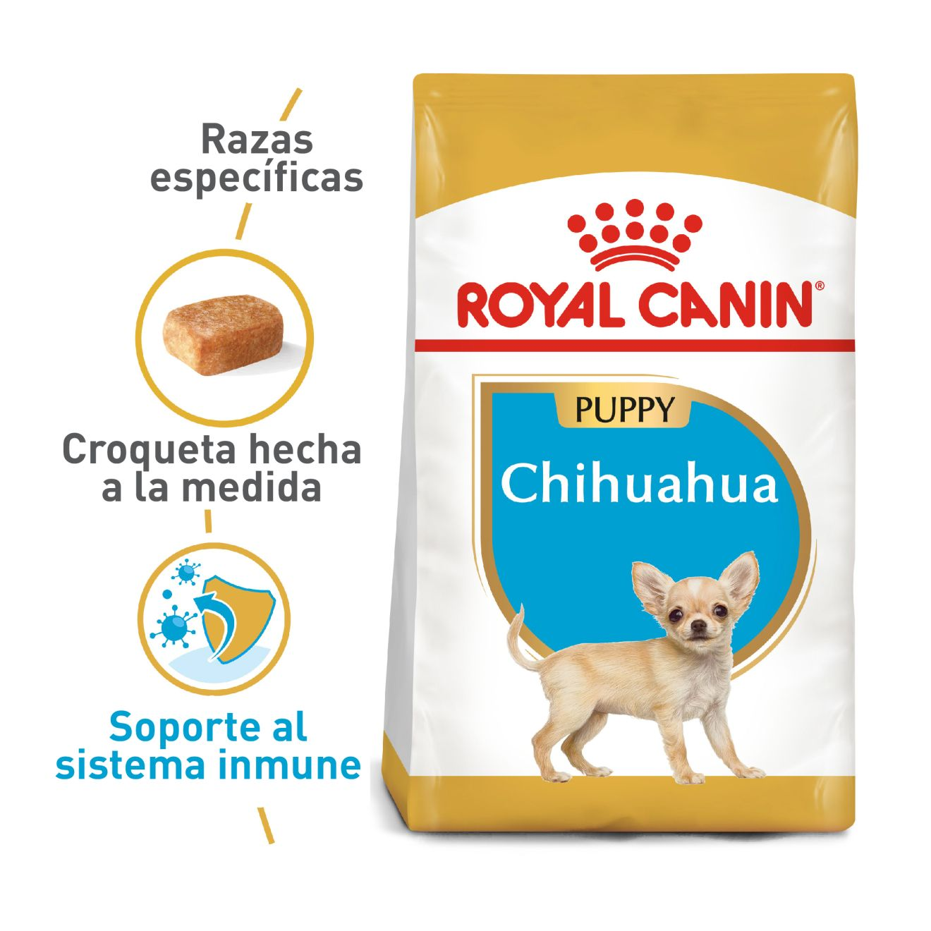 Chihuahua Cachorro