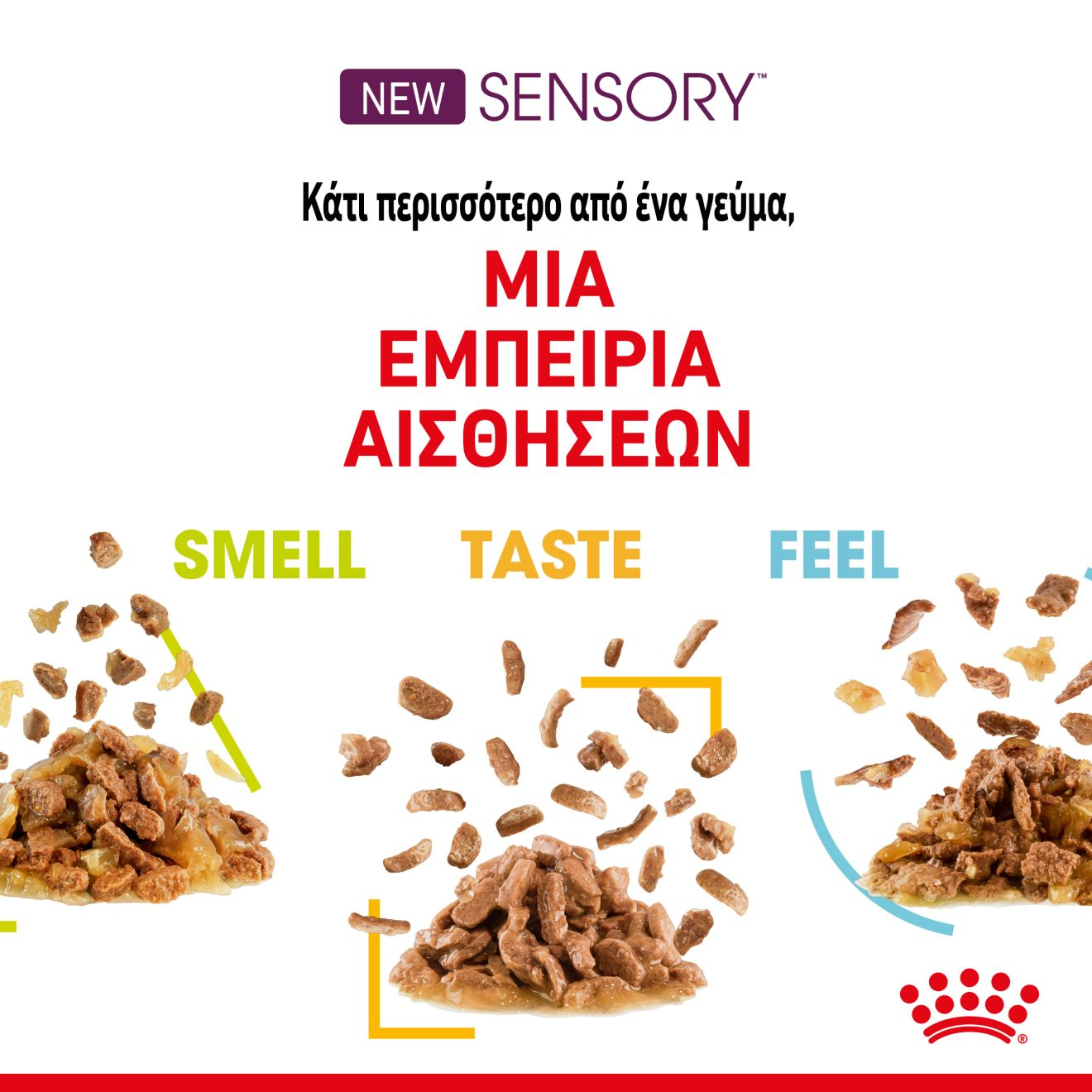 SENSORY™ TASTE κομματάκια σε σάλτσα