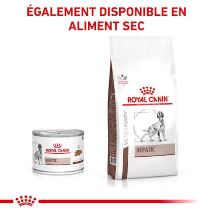 RC-VET-WET-DogGastroHEP200g-CV-Eretailkit-6-fr_FR