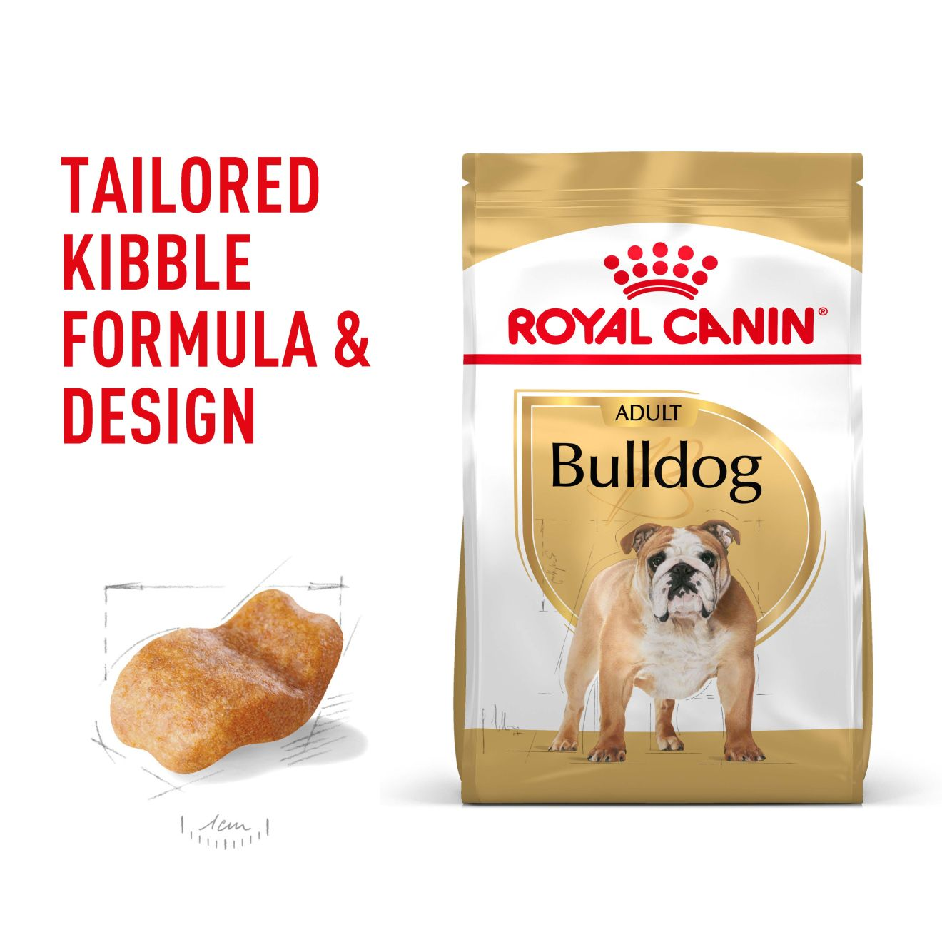 Bulldog Adult