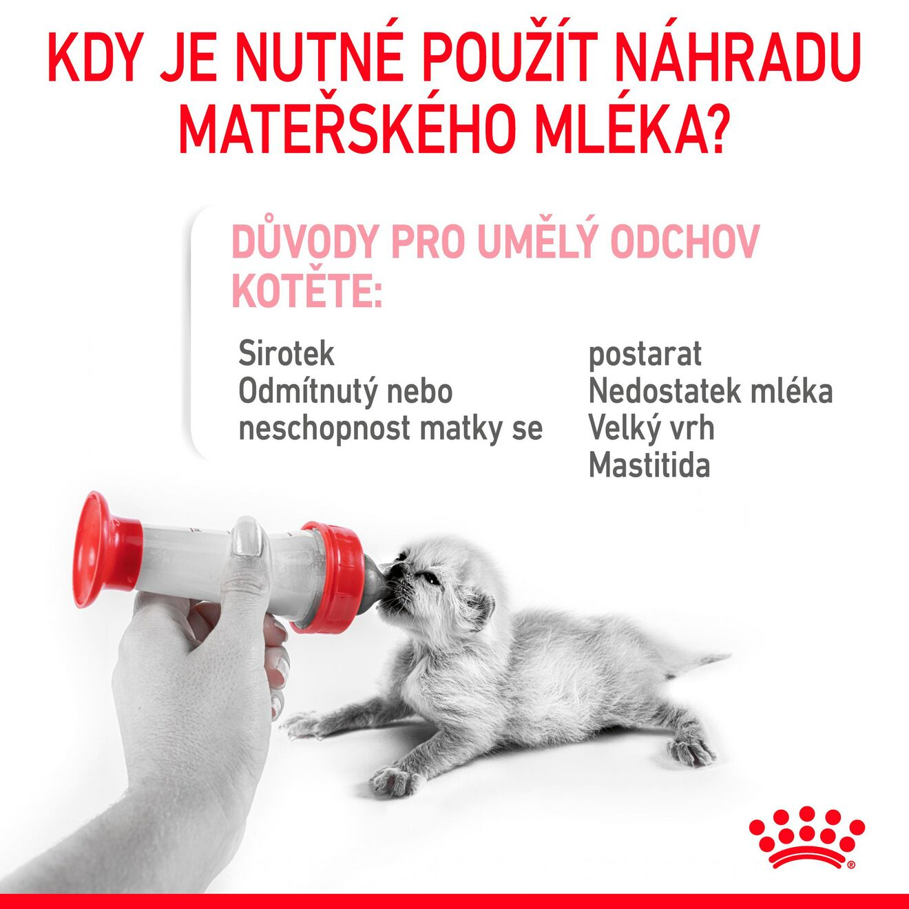 Babycat Milk