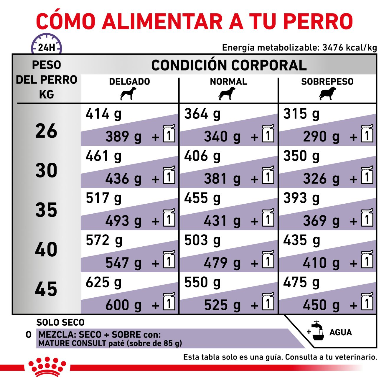 Mature Consult Large Dog