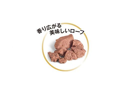 ダックスフンド （成犬～高齢犬用 ウェット） | Royal Canin JP