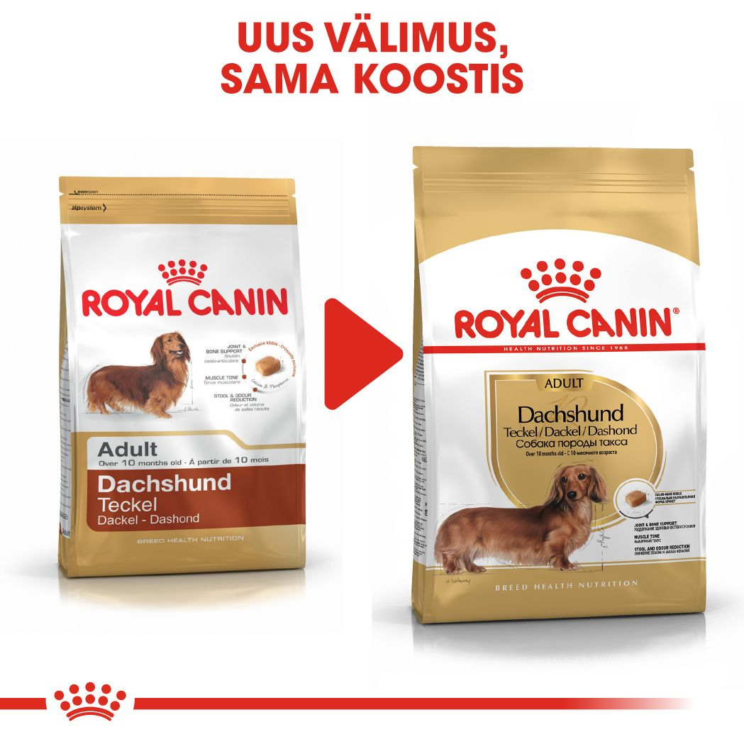 Royal Canin Dachshund Adult kuivtoit