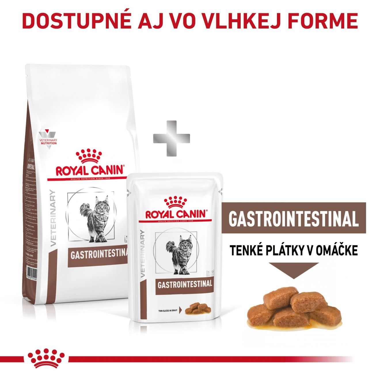VHN Cat Gastrointestinal