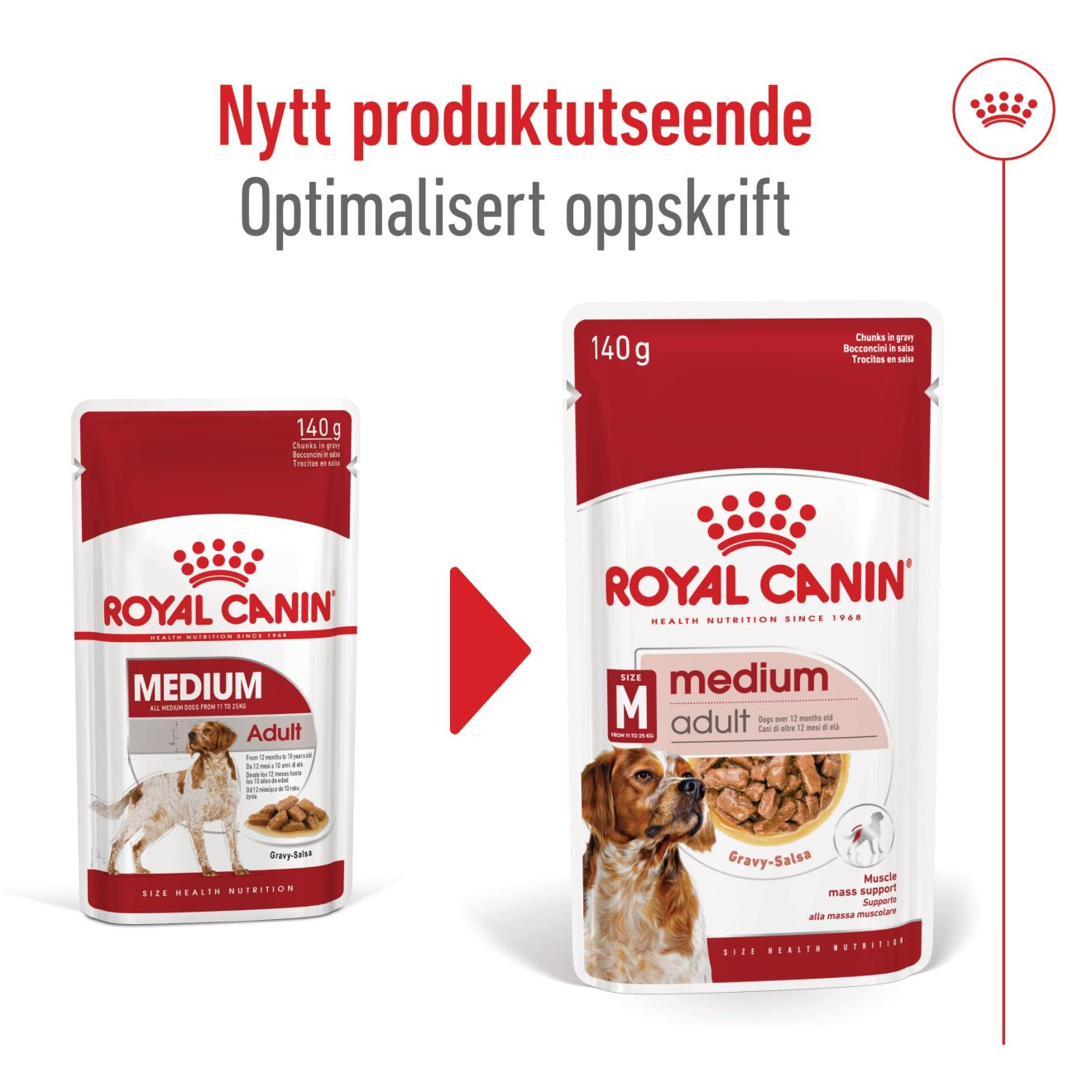 Medium Adult stykker i saus