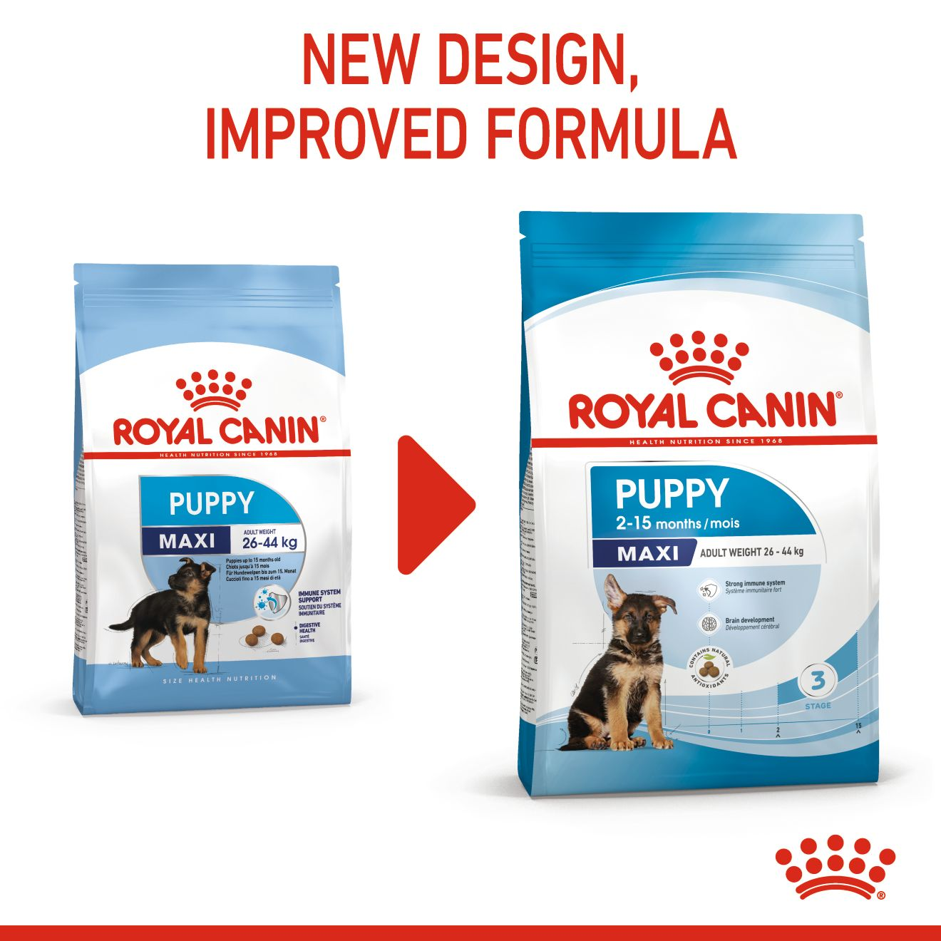 Royal canin large outlet breed puppy feeding guide