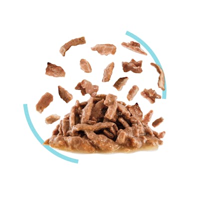 FHNW21_-SENSORY-FEEL-MORSELS_IN_GRAVY_Med._Res.___Basic