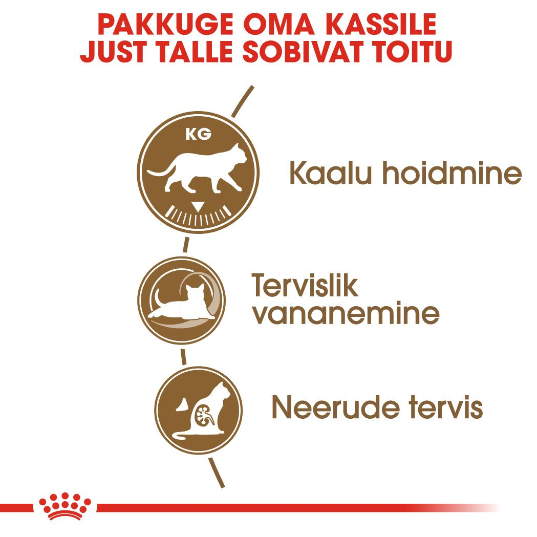 Royal Canin Ageing Sterilised 12+ kuivtoit