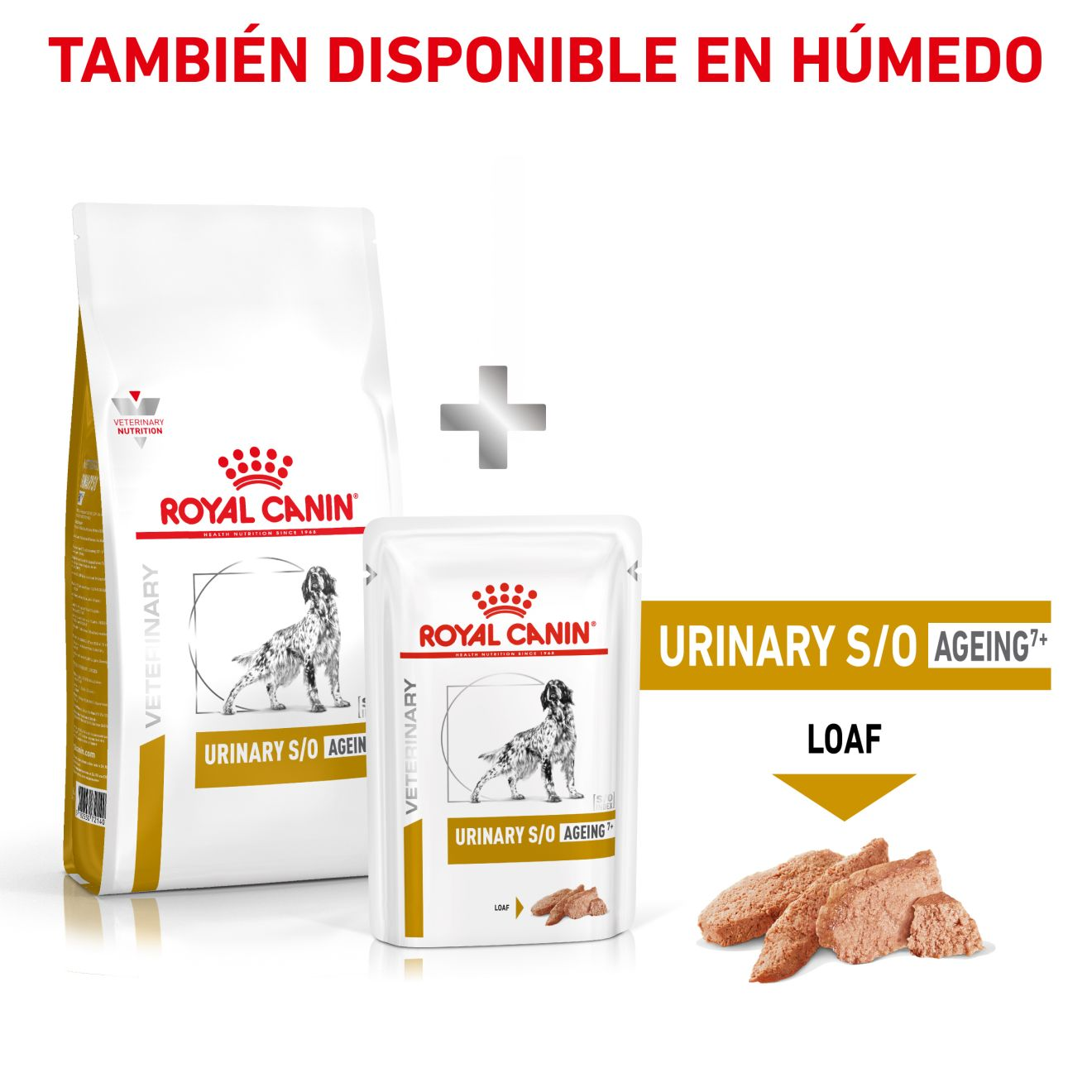 Urinary S/O Ageing 7+