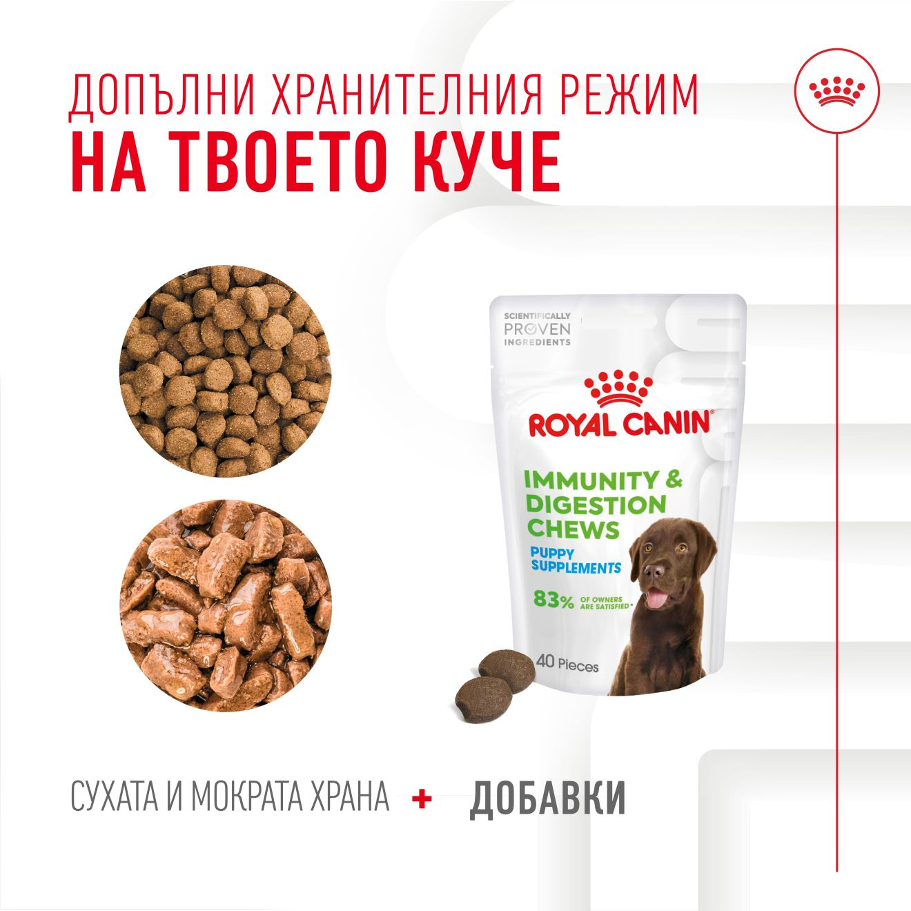 IMMUNITY & DIGESTION CHEWS