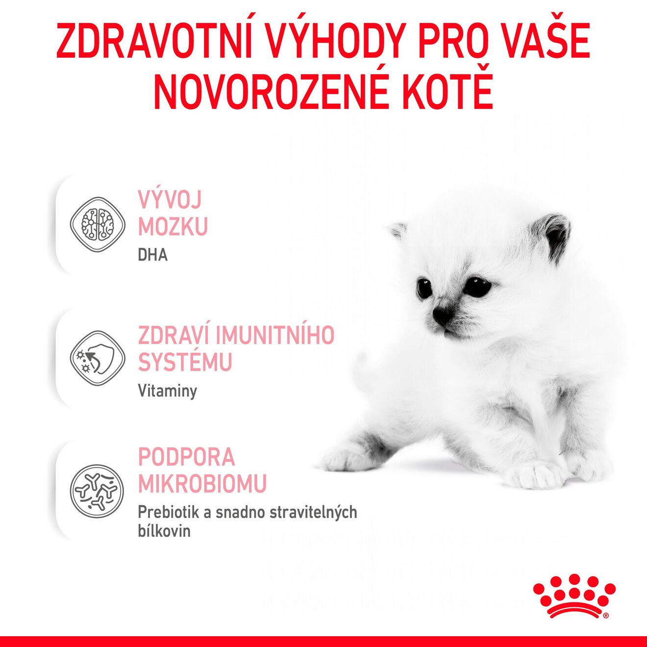Babycat Milk