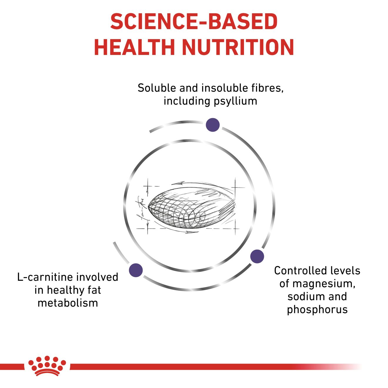 VHN Cat Neutered Satiety Balance