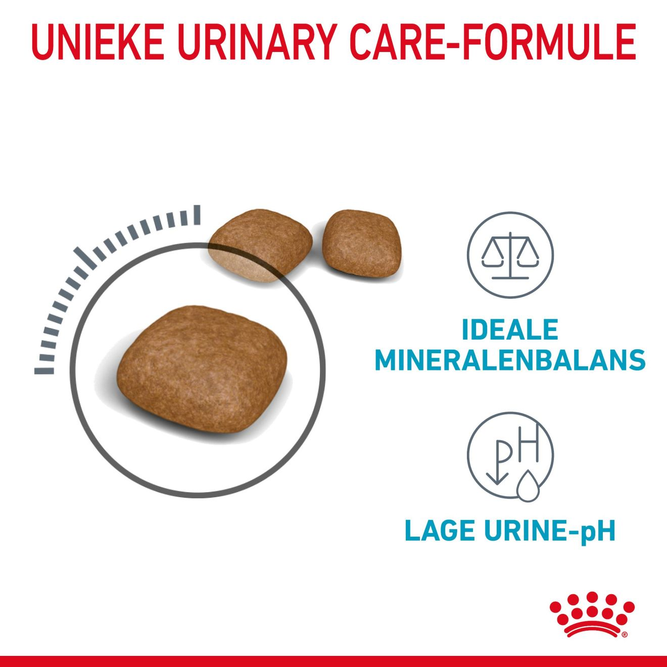 Urinary Care