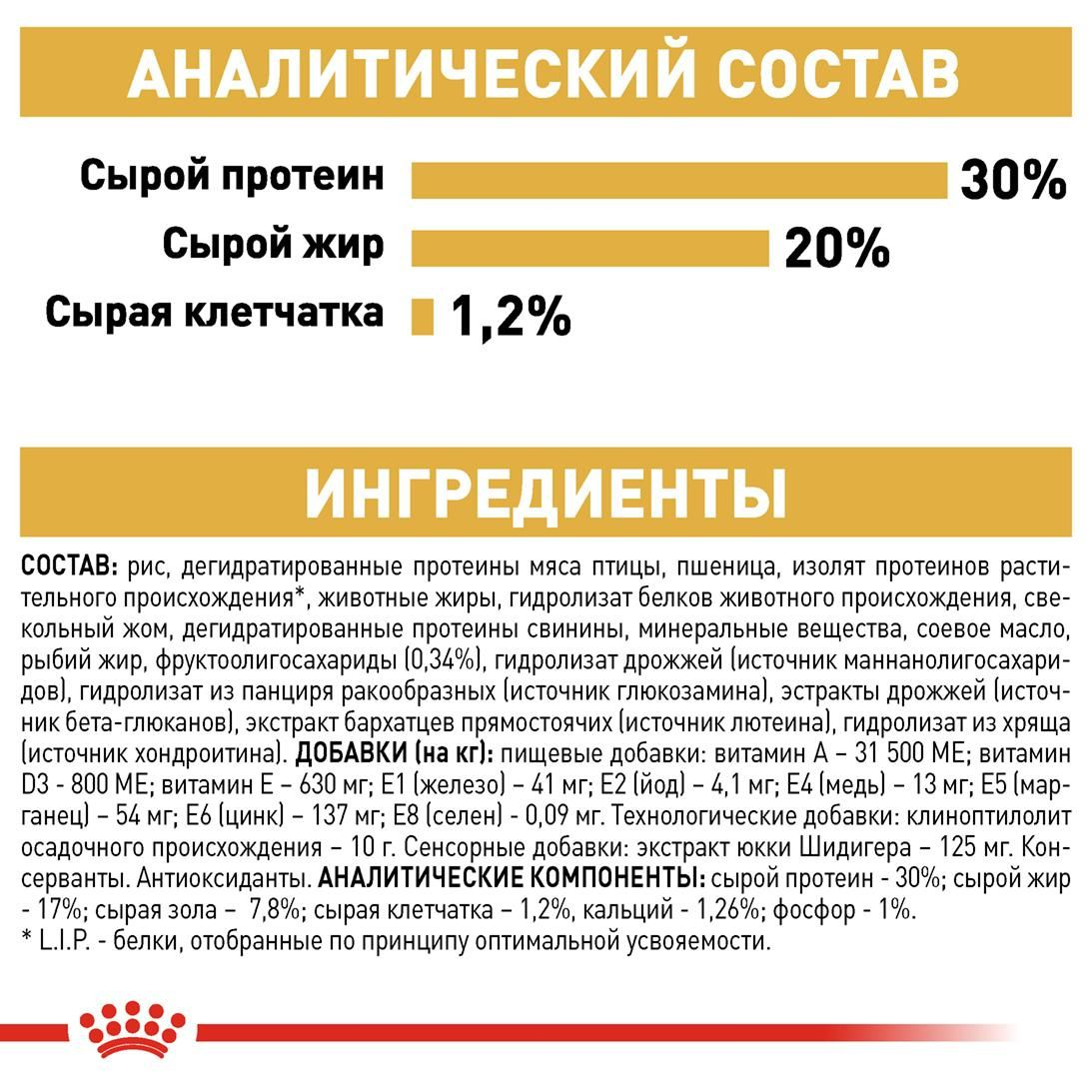 French  Bulldog Puppy