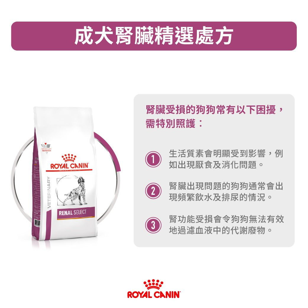 成犬腎臟精選處方