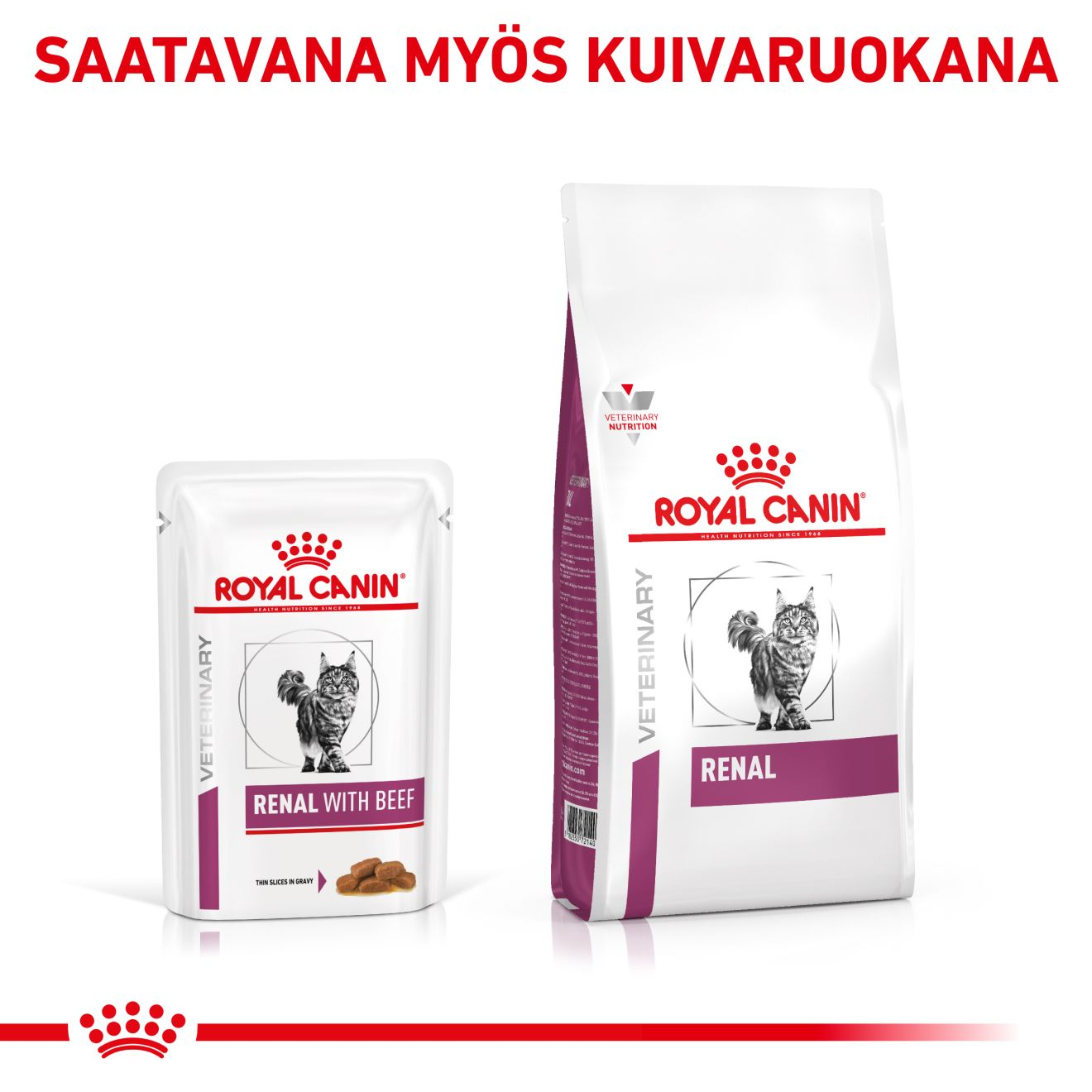 Royal canin outlet renal beef