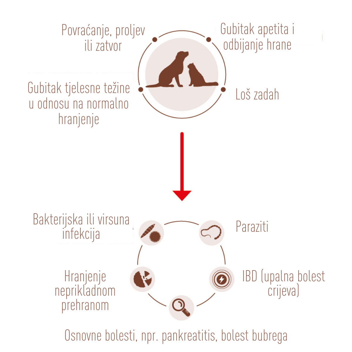 infografika