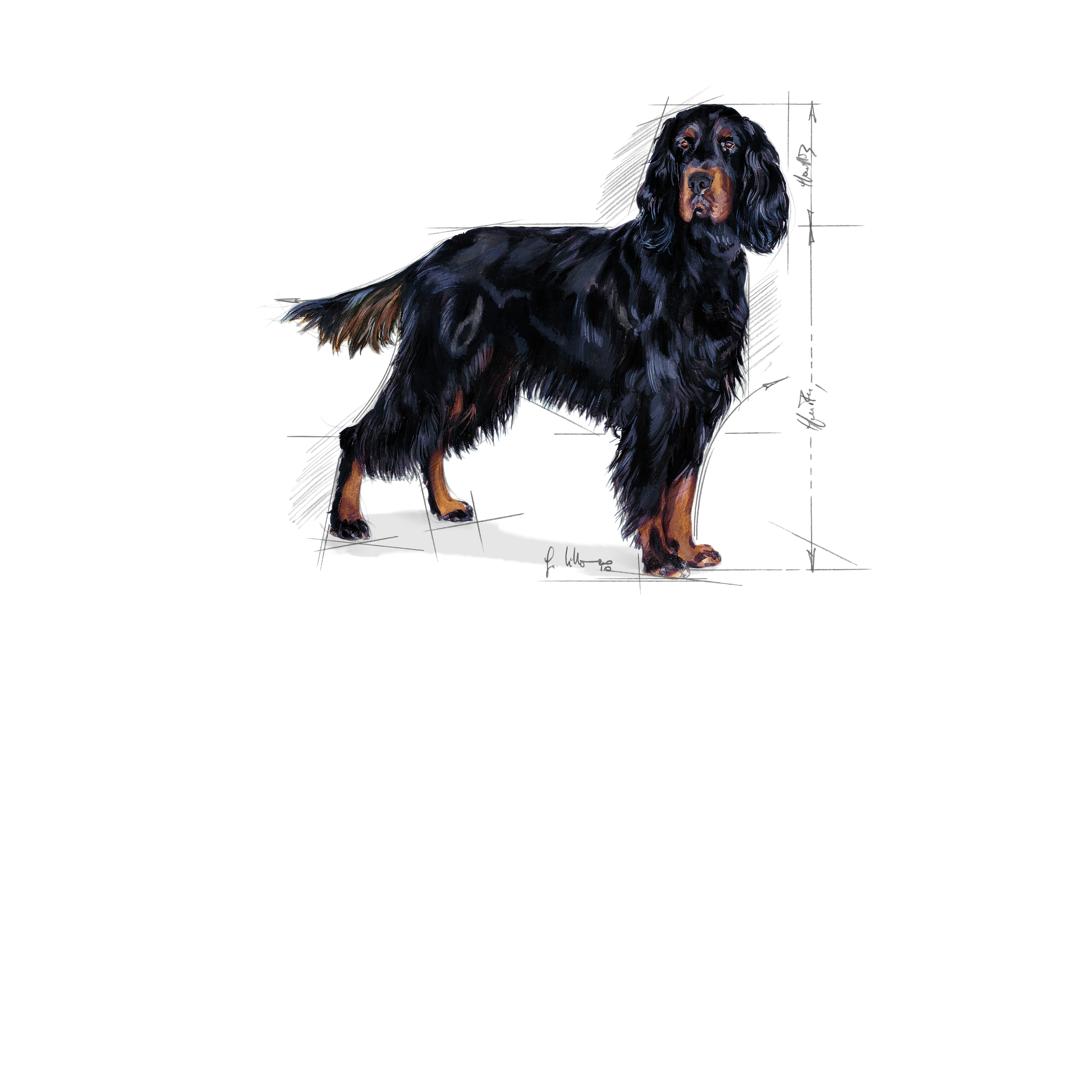 Maxi Sterilised Emblematic