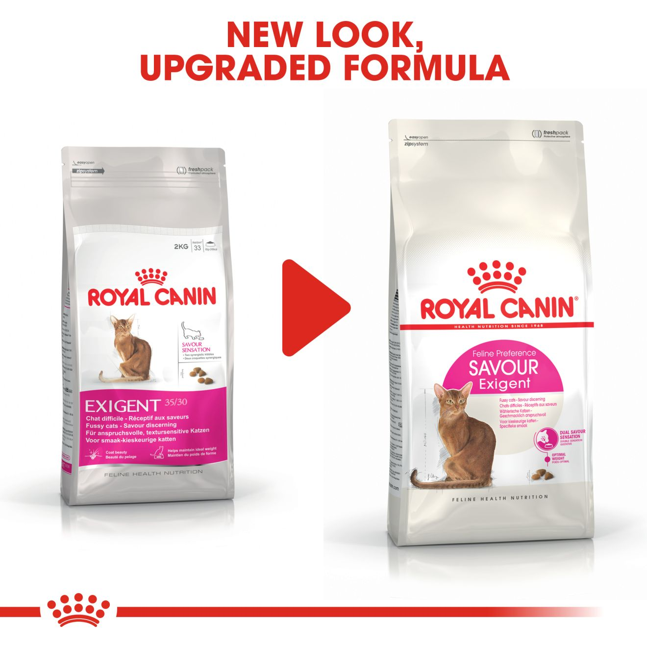 Savour Exigent Cat Food Royal Canin UK