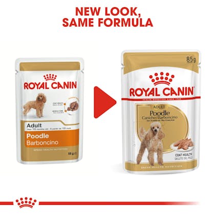 Royal canin puppy food sales poodle