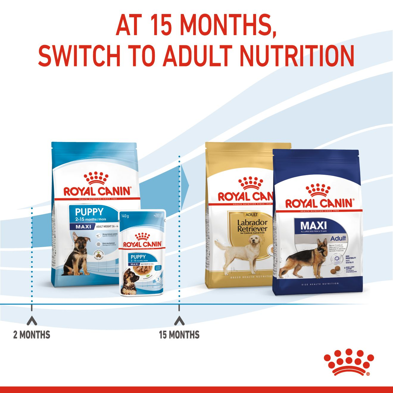 Royal canin maxi puppy active 15 kg sale