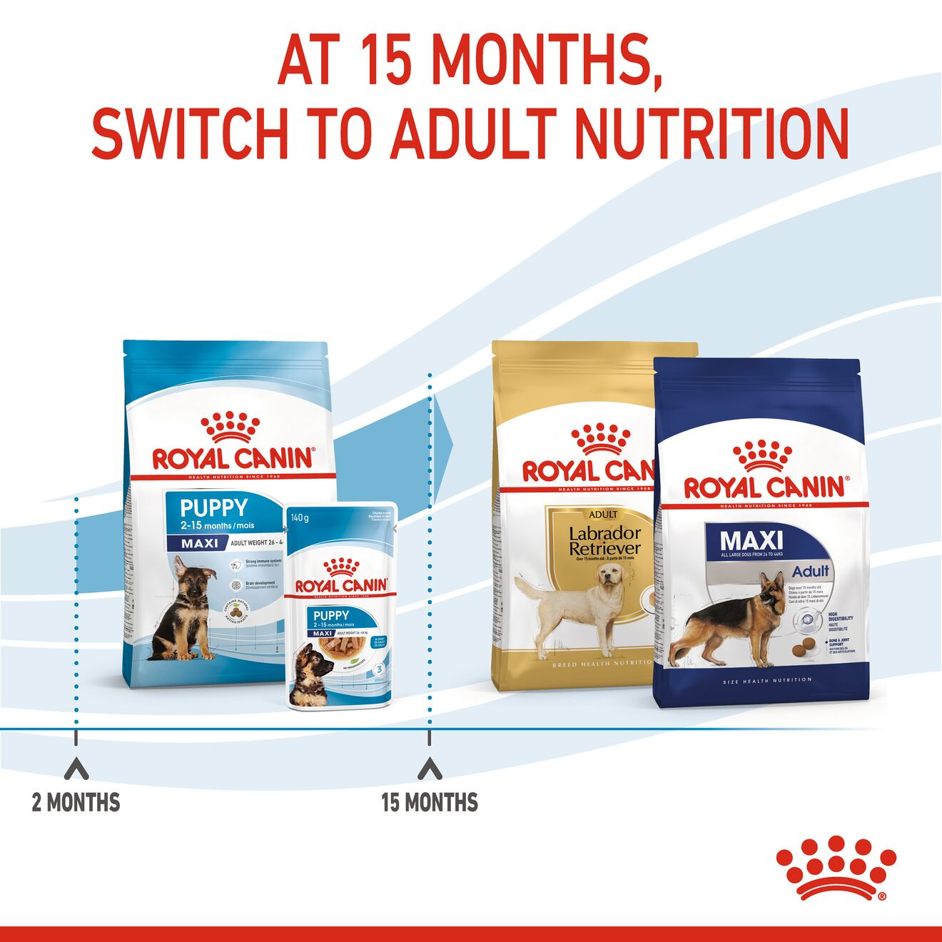 Royal canin puppy maxi best sale feeding guide