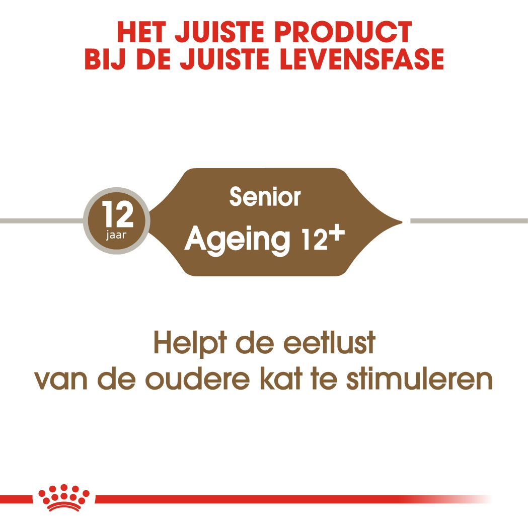 Ageing 12+