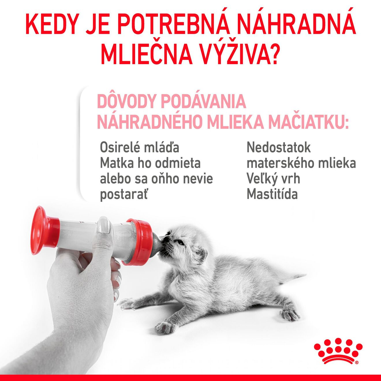 Babycat Milk