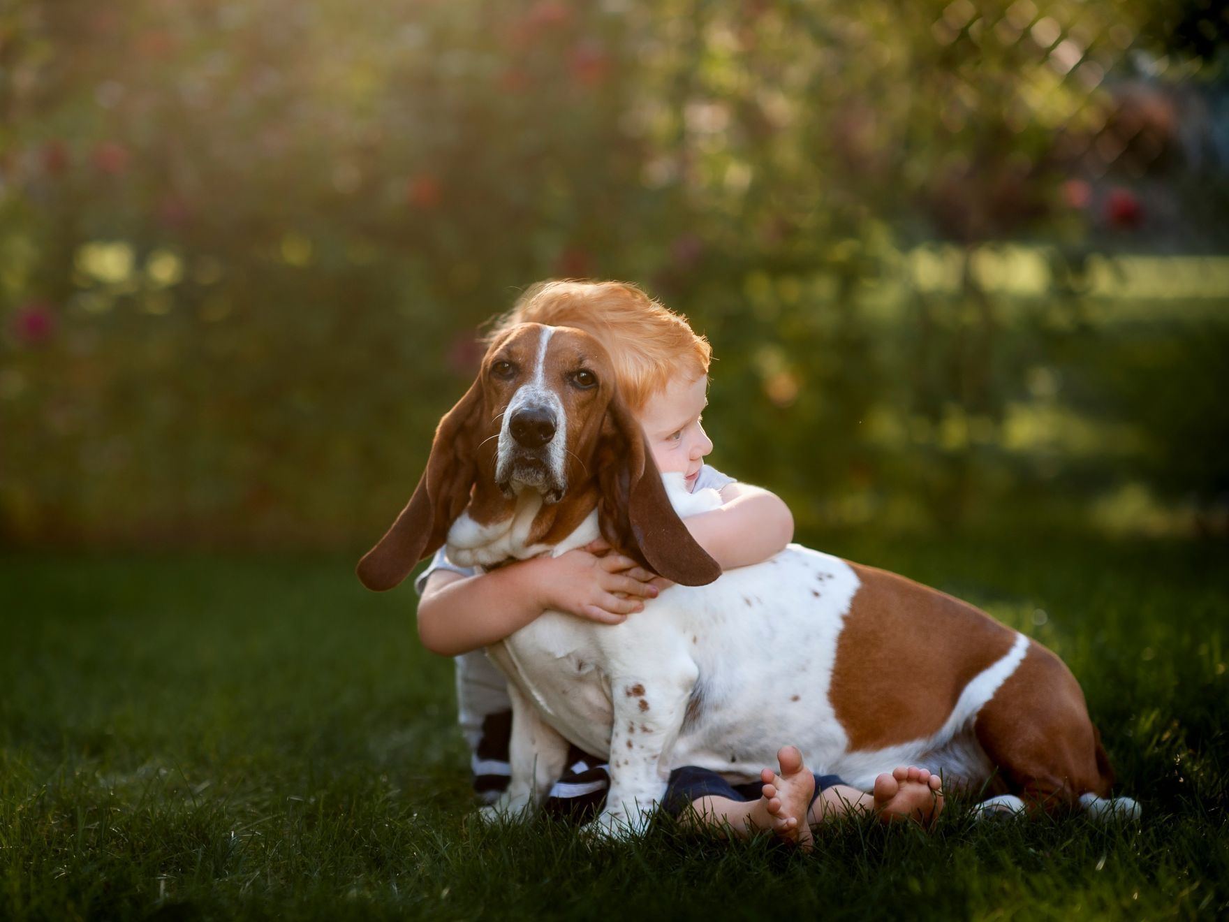 Un petit garçon assis dans un jardin serre son chien contre lui