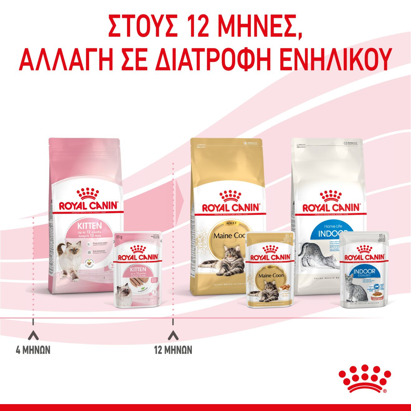 KITTEN πατέ σε σάλτσα