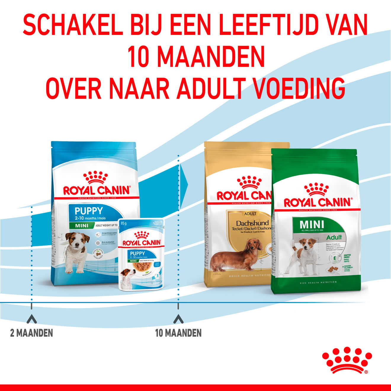 Royal Canin Mini Puppy - Hondenvoer | Royal Canin Shop | Royal Canin NL