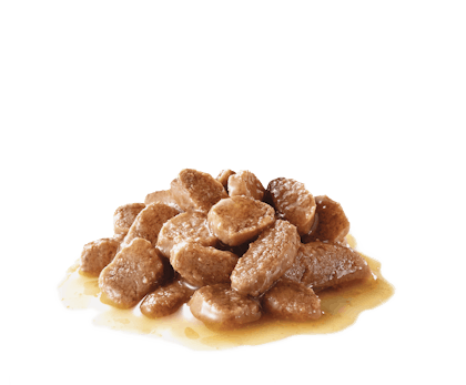 Urinary Care Gravy Basah - Royal Canin