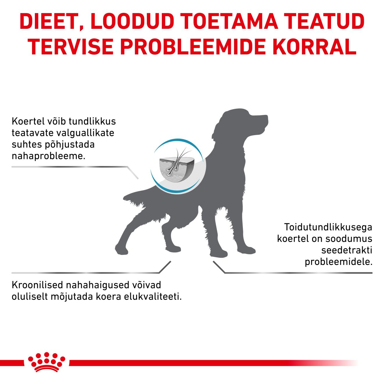 Royal Canin Hypoallergenic Dog kuivtoit