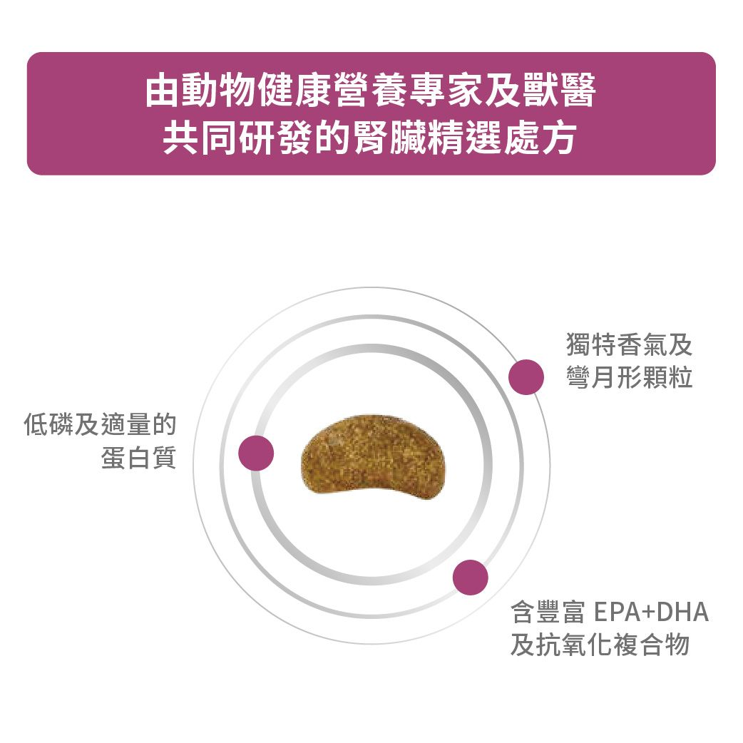 成犬腎臟精選處方