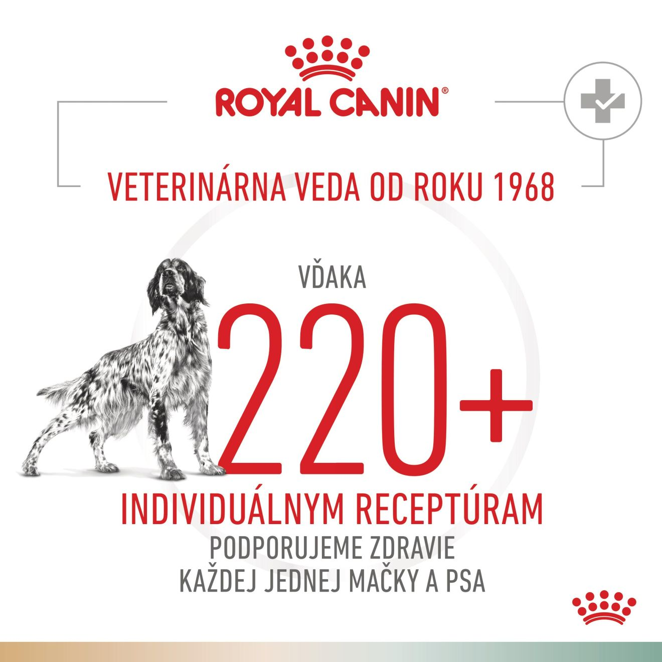 VHN Dog CA Urinary S/O - Satiety Small
