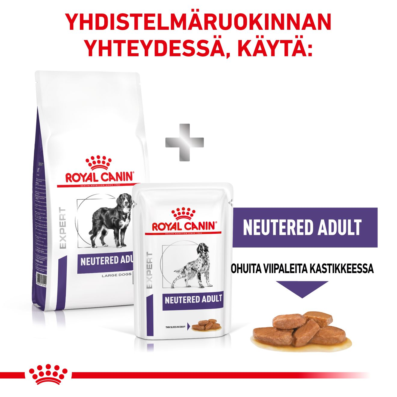 Health Neutered Adult Large Dog