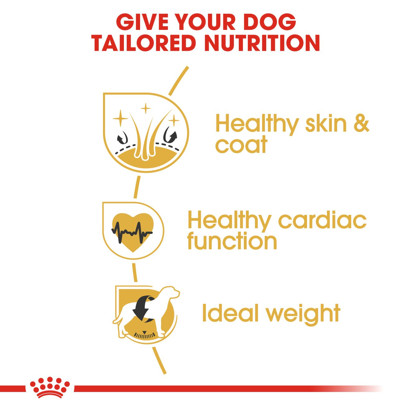 royal canin breed health nutrition golden retriever adult dry dog food