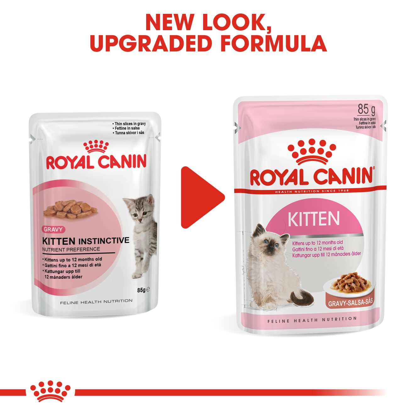 royal canin fhn kitten