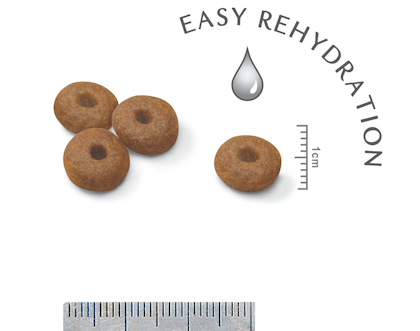 SHN- STARTER POS 2012- Kibbles - MA-STA-SHN-CROC+EASY