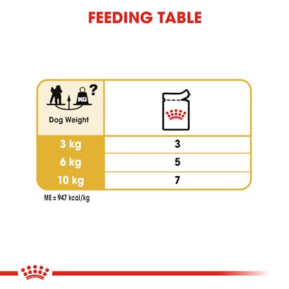 Royal canin wet hot sale food feeding guide