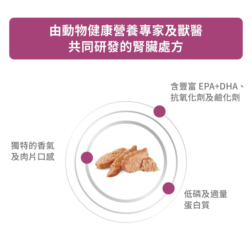 成犬腎臟處方罐頭