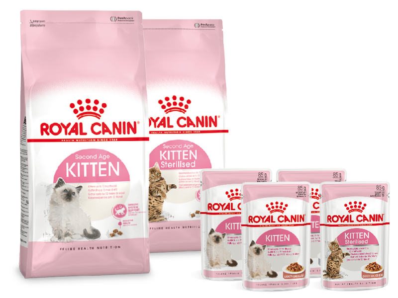 Корм Royal Canin для котят