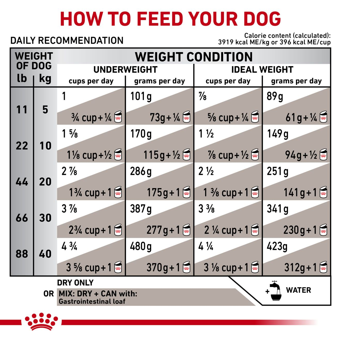 Gastrointestinal royal canin dog food sale