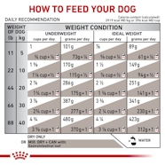 Canine Gastrointestinal Royal Canin US