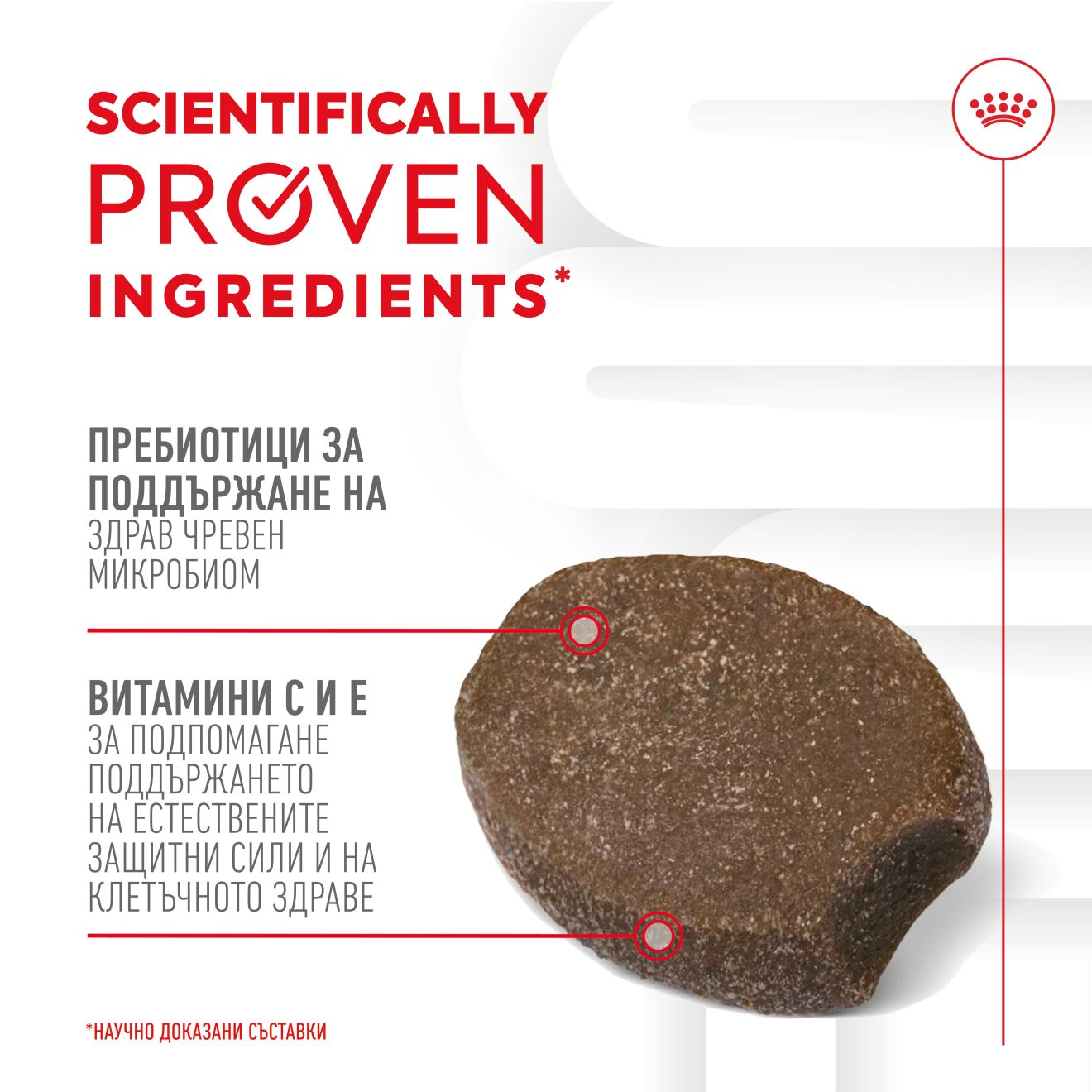 IMMUNITY & DIGESTION CHEWS