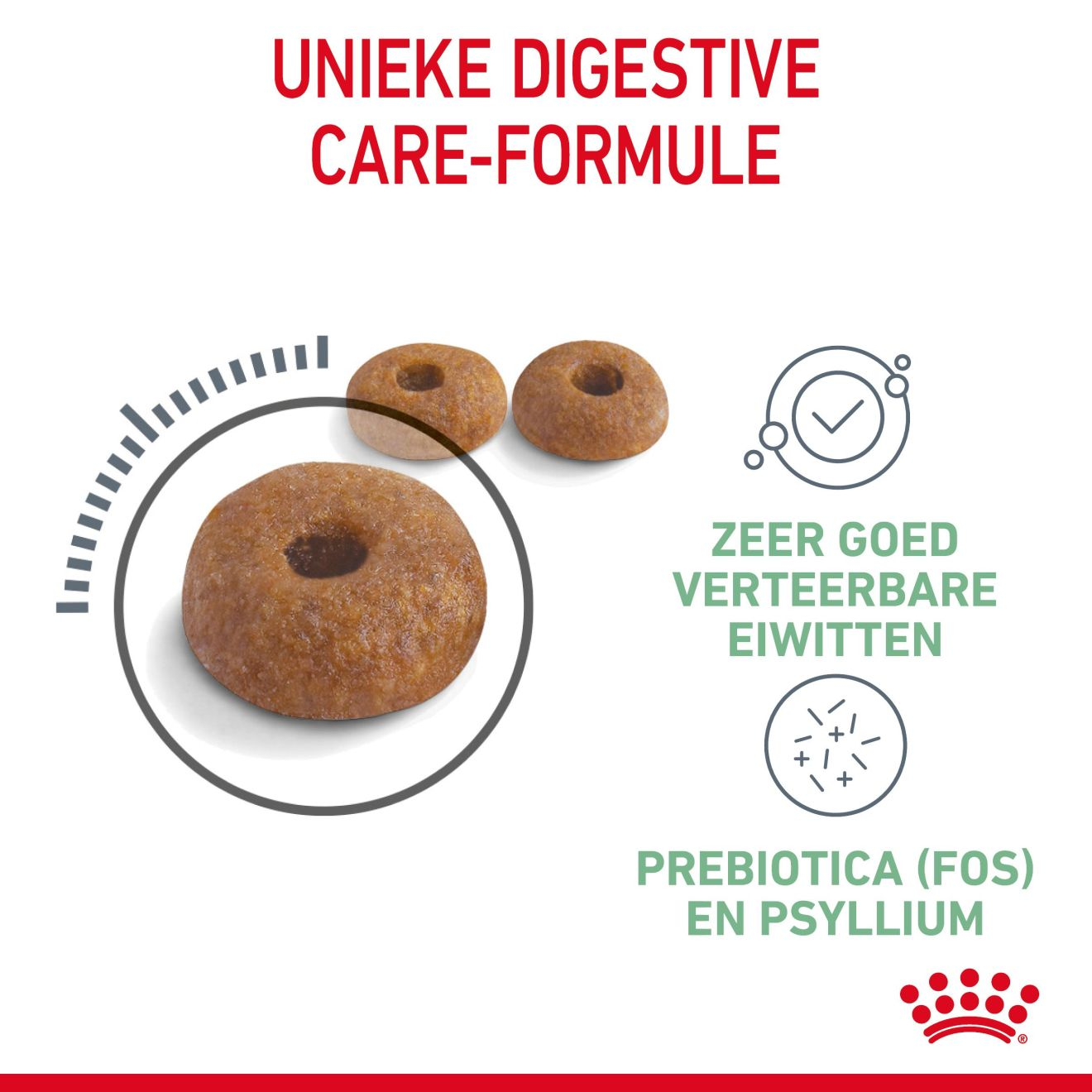 Digestive Care