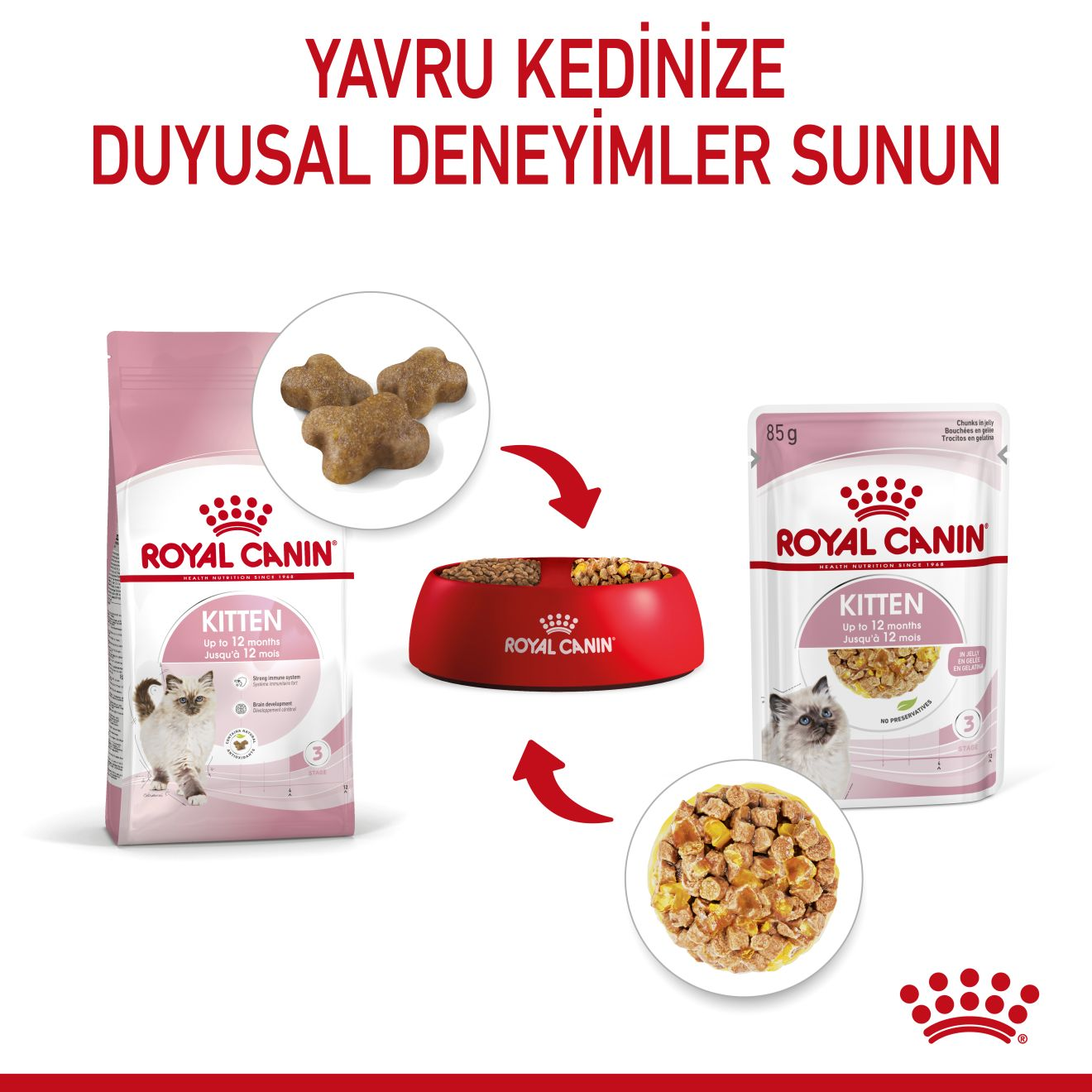 Kitten Jelly Yavru Kedi Yaş Maması