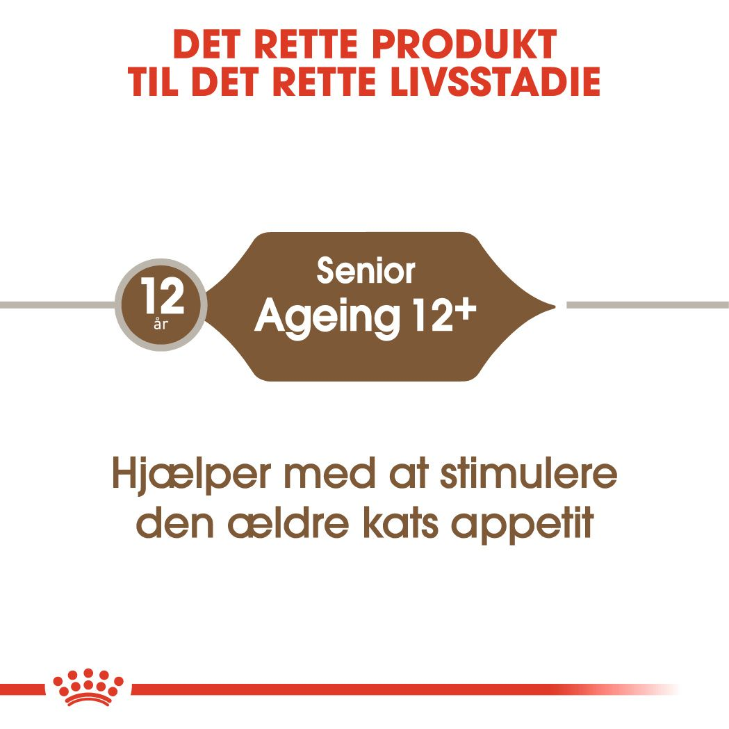 Ageing 12+ | Royal Canin DK